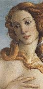 Sandro Botticelli The Birth of Venus (mk36) painting